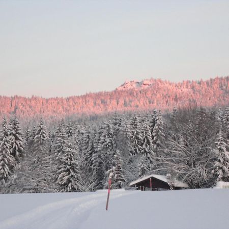 Landgasthof Brandtner Wirt Langdorf  Экстерьер фото
