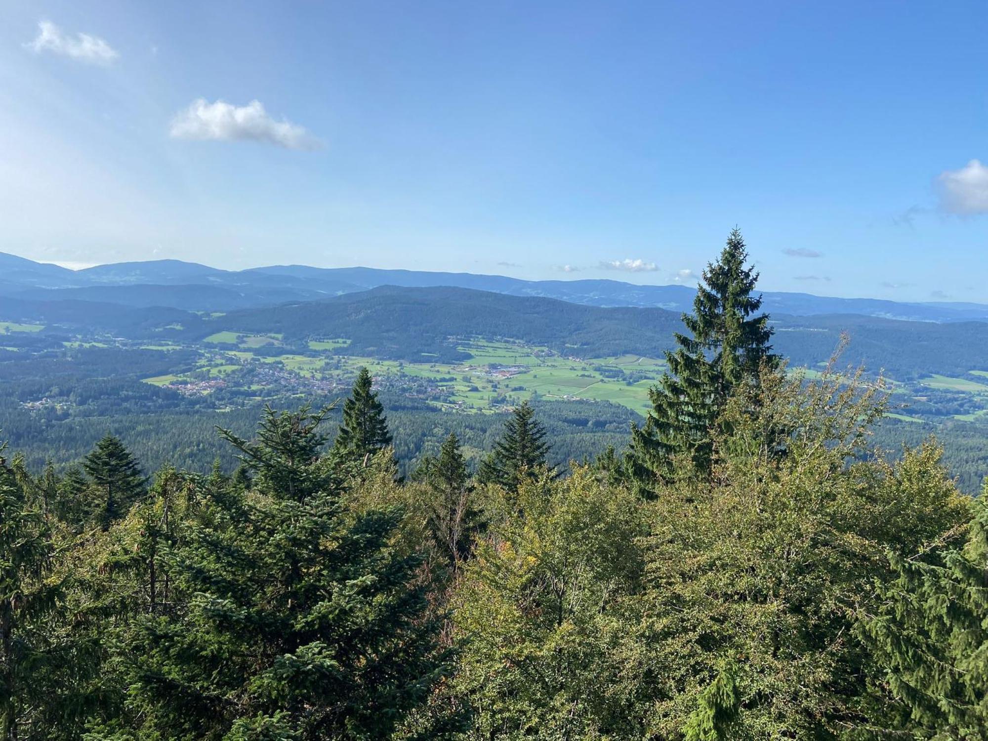 Landgasthof Brandtner Wirt Langdorf  Экстерьер фото